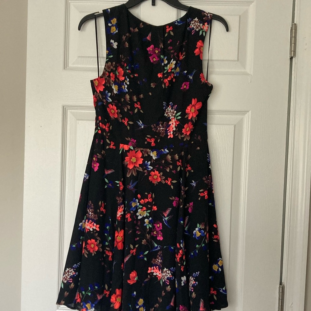 Express Dress - Picture 5 of 5